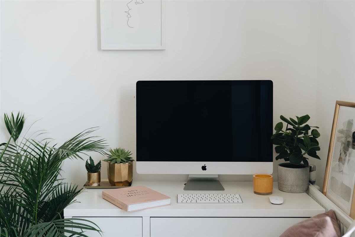 Minimalist home office desk with a computer and indoor plants
